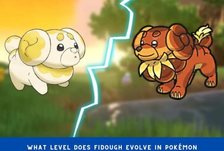 What level does Fidough evolve in Pokémon Scarlet and Violet