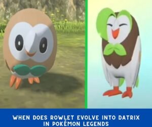 When does Rowlet evolve into Datrix in Pokémon Legends Arceus